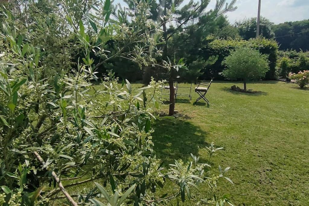 Les Lys Jolie Suite Parentale Privative Deux Adultes Avec Sdd Pertheville-Ners Exterior foto