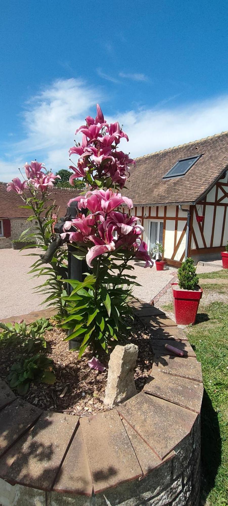 Les Lys Jolie Suite Parentale Privative Deux Adultes Avec Sdd Pertheville-Ners Exterior foto